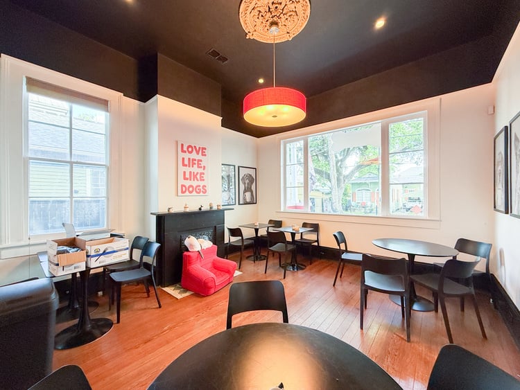 Turn Key Cafe on Magazine Street with Patio - Thumbnail 5