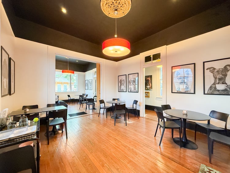 Turn Key Cafe on Magazine Street with Patio - Thumbnail 4