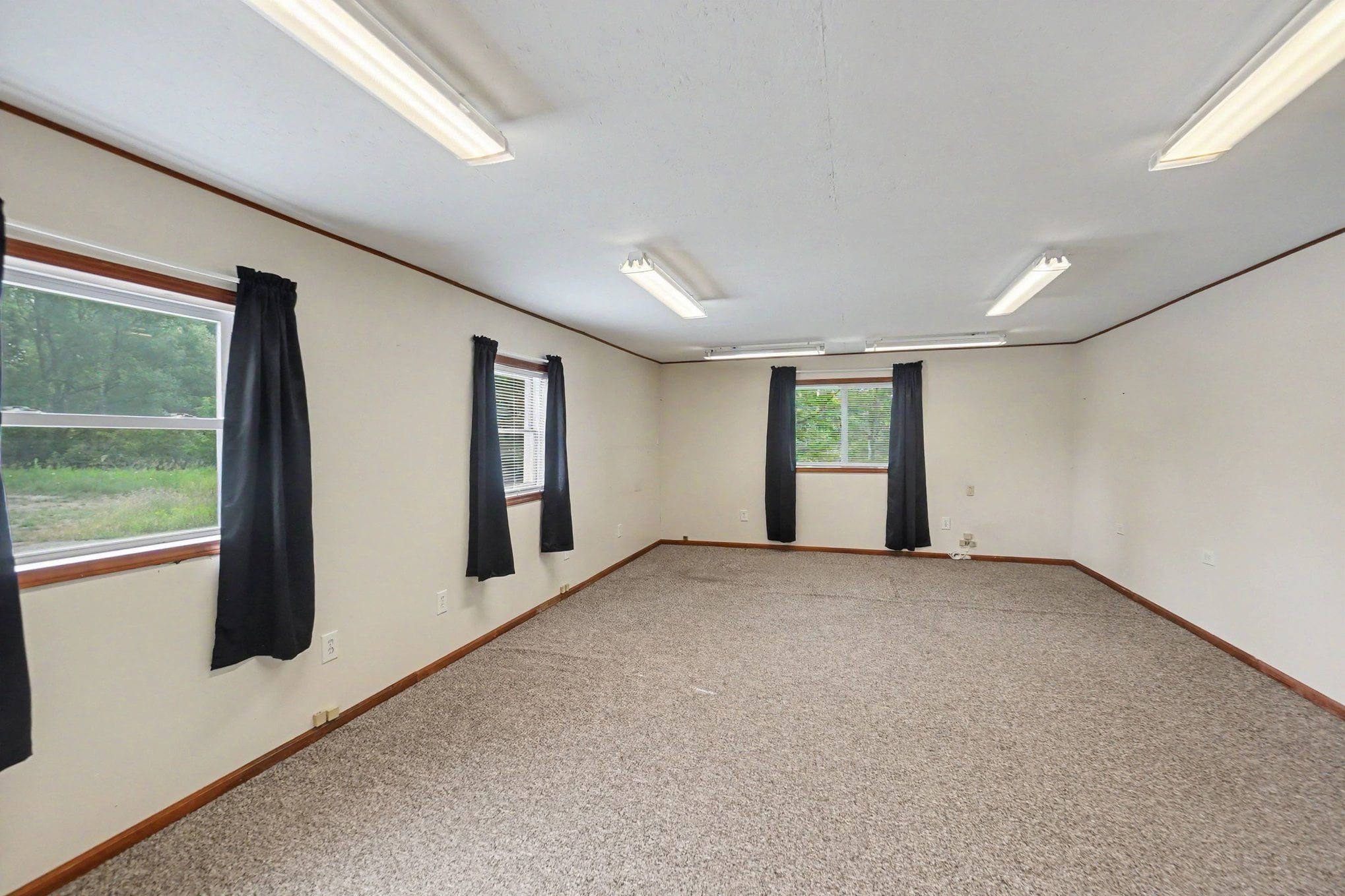 Full Restaurant for Sale in Reed City, MI, $369K - Thumbnail 1