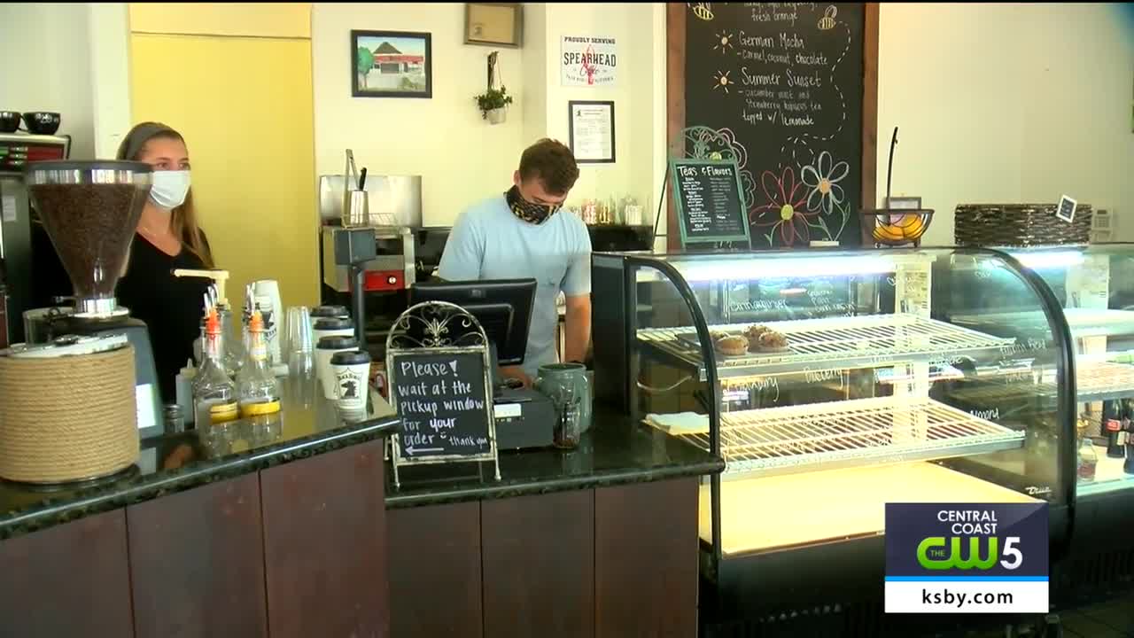 East Asian, Middle Eastern, Indian Pakistani Punjabi Restaurant for Sale Southern California - Thumbnail 5