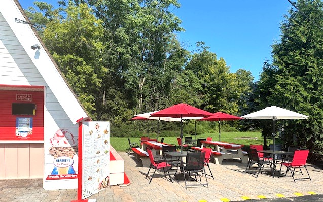 Ice Cream and sandwiches  - Thumbnail 3